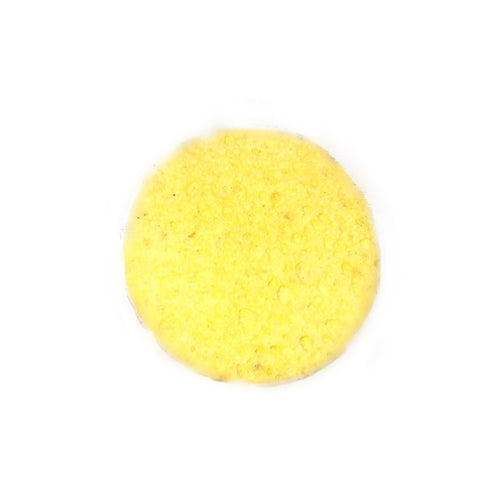 Replacement Exfoliating Sponge